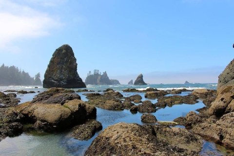 Sea stacks and tidal pools along a sunny coastline