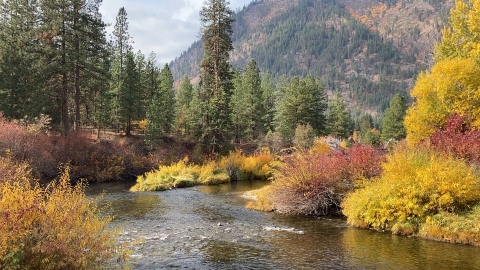 A stream and tall trees in fall foliage beneath a mountain