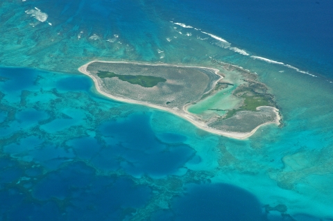 Pearl and Hermes islet from plane.