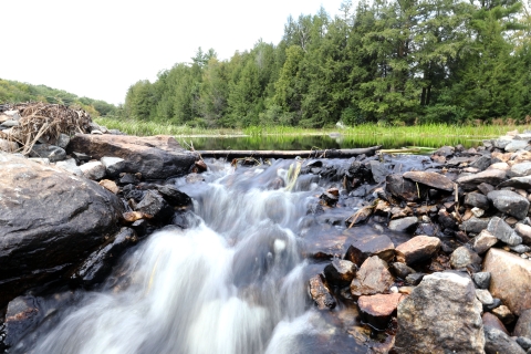 Water spills over a rocky embankment at the edge of a pond surrounded by green grass and trees. The Highland Region encompasses many forests, wetlands, ponds and streams.