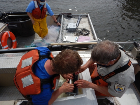 USFWS staff measuring fish 