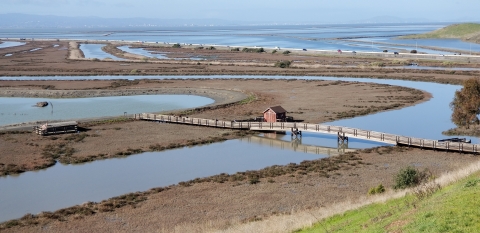 Tidal marsh with a boardwalk bridge trail over a slough and the greater San Francisco Bay in the background.