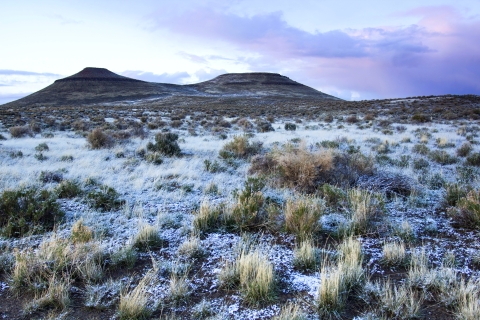 Snow and frost on sagebrush in Eastern Oregon