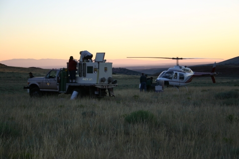 Loading trout onto the helicopter for stocking at Wind River Reservation