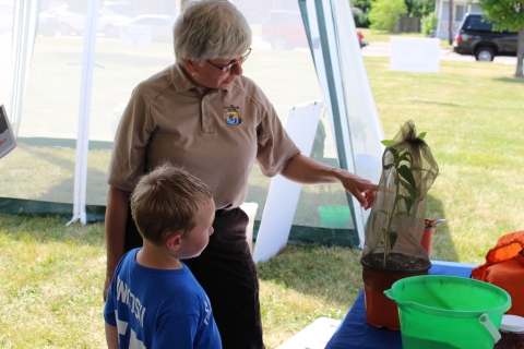 USFWS staff showing monarch butterflies and milkweed to child.