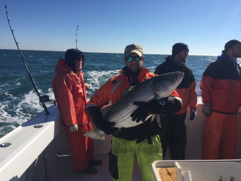 Fish biologist with large striped bass