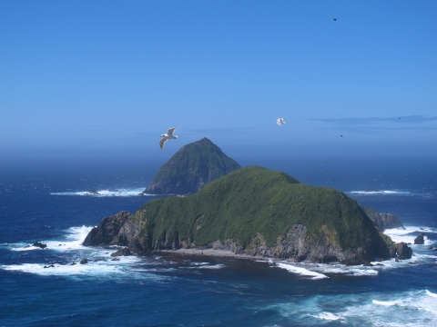 Small islets covered in green vegetation protrude from a blue sea with breaking waves. White seabirds fly above them in a blue sky.