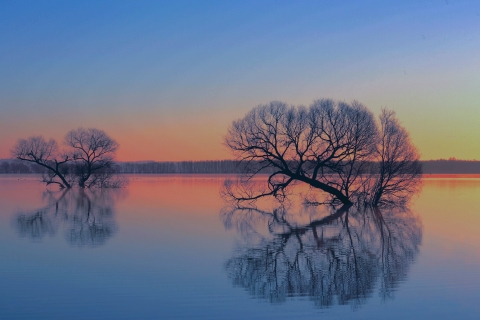 Sunrise over lake with two snags in water.