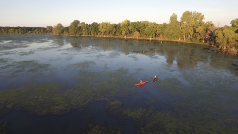 Aerial view looking down on two kayakers in a marsh with lots of green aquatic vegetation on surface, green forest in background