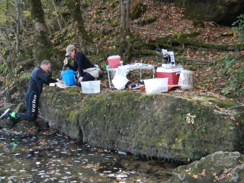 Two FWS employees in wet suits conduct sperm assessments on the banks of the Current River