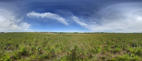 Panoramic view of Pauley Waterfowl Production Area, Minnesota Valley Wetland Management District. Wispy clouds are present in the blue sky over the prairie, containing green grasses. White and yellow flowers are present in the foreground.