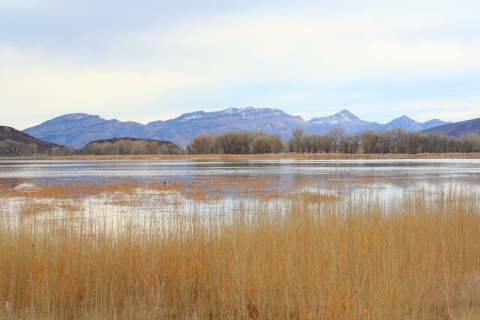 Fall at the Lake Pahranagat NWR 