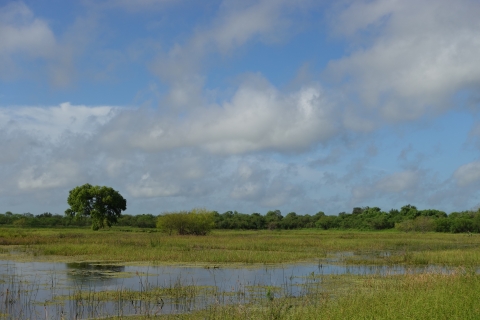 Wetlands at pintail lake trails surrounded by grassland with blue sky covered by clouds.