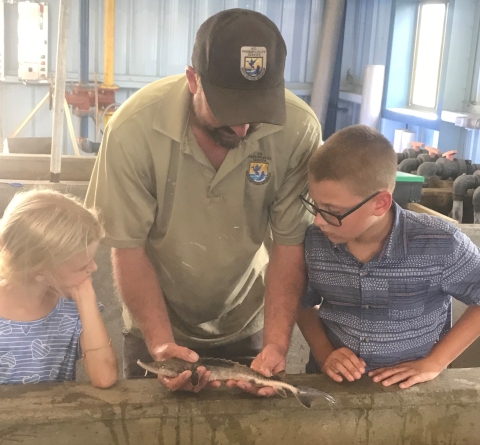 juvenile Lake Sturgeon raised at Edenton NFH with Deputy Manager and Children