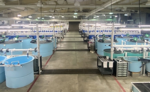 Containment Building