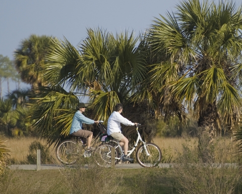 Cyclists enjoying the ride on the St. Marks NWR