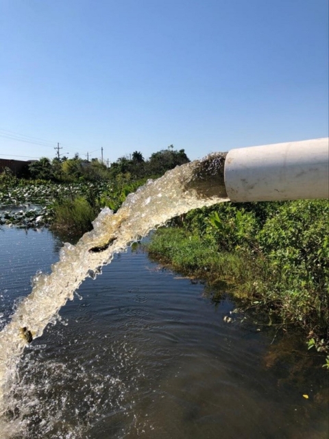 A pipe pumping water into canal during electrofishing used to capture native fish.