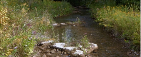 Photo of a stream restoration completed with V-shaped weirs.