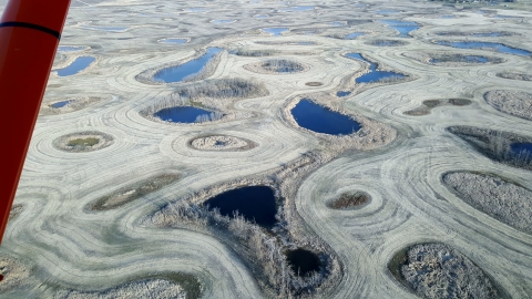 Western Manitoba wetland conditions in May 2019