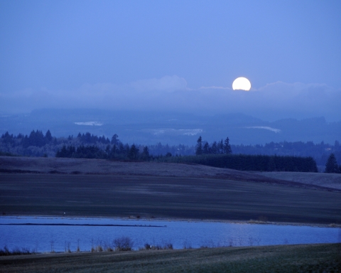The moon shines over Baskett Slough National Wildlife Refuge