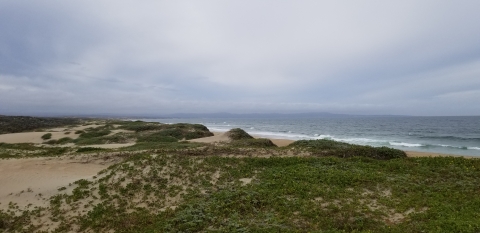 Sand dunes overlooking a sandy beach and ocean with grey skies.