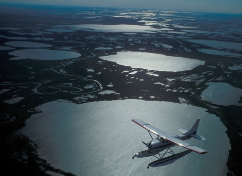 Cessna 206 on floats flying over tundra and lakes