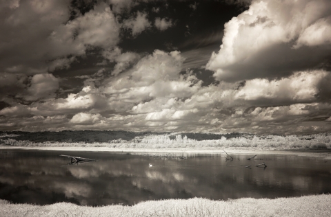 A dramatic sky over a wetland at Ankeny National Wildlife Refuge
