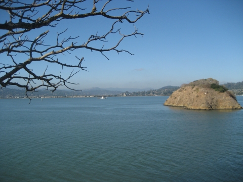 Tree branches in the foreground overlooking open water with a small island and mountains in the background. 