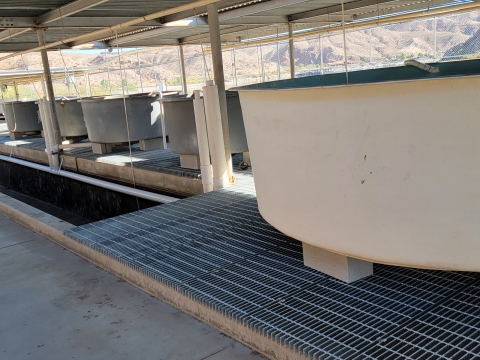 circular tank installation for a semi-recirculating system 2021