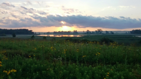sun rises over water and prairie plants on a marsh