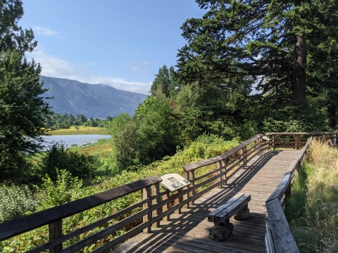 Overlook with a bench and interpretive panel with a vantage of Franz Lake and the Oregon side of the Gorge in the background.