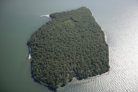Aerial view of West Sister Island, mostly covered in trees with a few gravel beaches along the edges