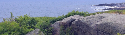 A view of the ocean from land. In the distance is a water and rocky shore. In the foreground is a large rock formation and green vegetation