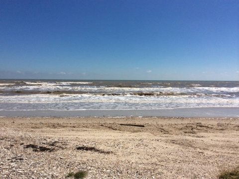 A beach landscape at Anahuac National Wildlife Refuge is shown against a blue sky.