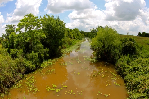 A creek is shown with a lush green bank on either side.