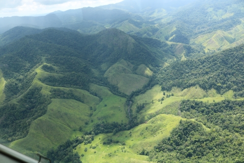 Aerial view of mountainous landscape of forest interspersed with grassy slopes