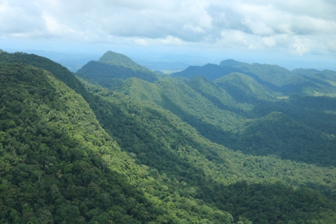 Forested mountain range 