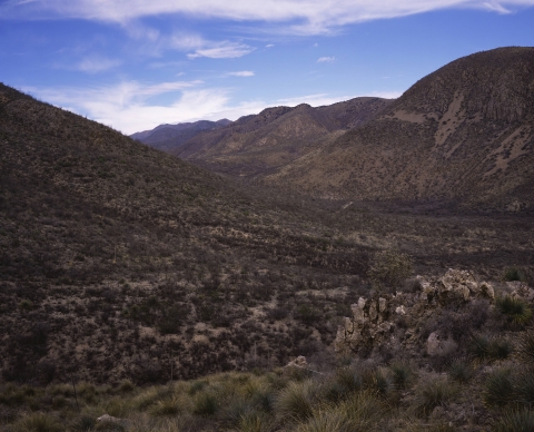 mountain desert landscape speckled with green vegetation