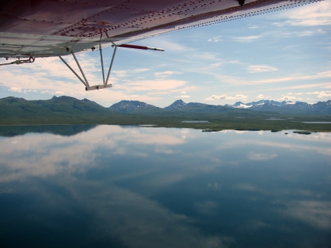 a large sprawling lake as viewed by a small plane. 
