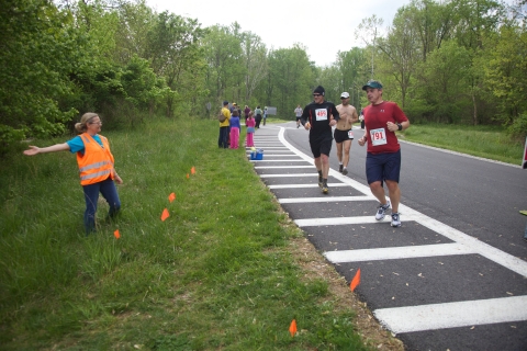Participants in a fun run race for the birds