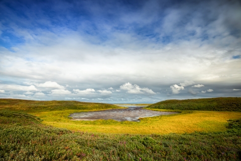 Large pool of water surrounded by low tundra grasses under cloud covered sky.