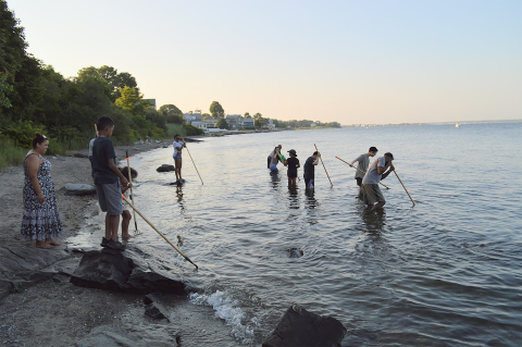 Children and parents go clamming on the coast of Rhode Island.