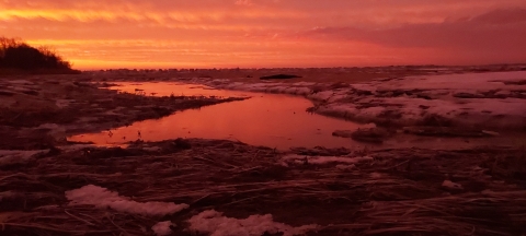 A coastal sunrise lights up the sky and paints a marsh red.