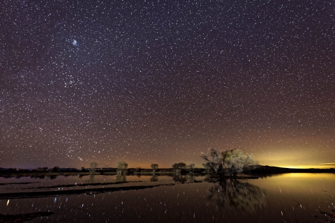 A purple starry sky reflects onto the water at Bosque del Apache National Wildlife Refuge.