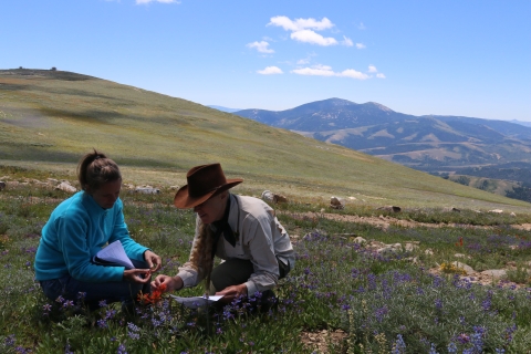 A woman in a blue shirt and a man with a brown cowboy hat on investigate a plant in the left side of the frame