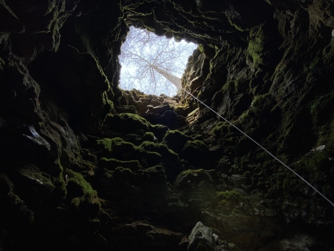Looking up from the bottom of a mine during a bat survey. 
