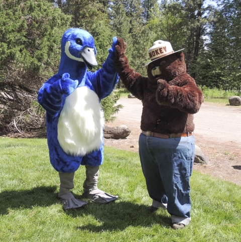 Blue Goose, "Puddles" and "Smokey the Bear" give each other a high five