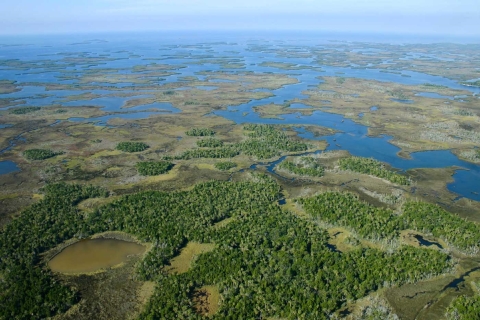 An aerial photograph of a landscape transitioning from open water to sparse wetlands to swamp.