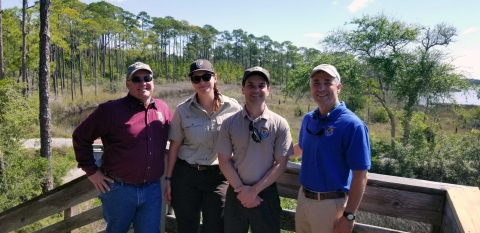 Three men and a woman standing on an observation deck overlooking a pine forest on the edge of the Gulf.