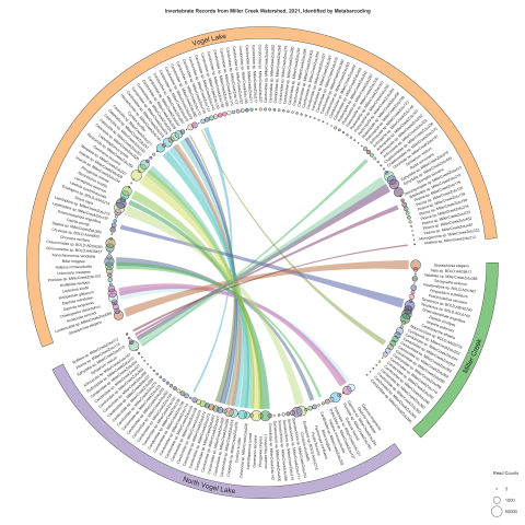 Circular plot showing invertebrates identified from three water bodies, their abundances in each water body, and which identifications are shared among water bodies.